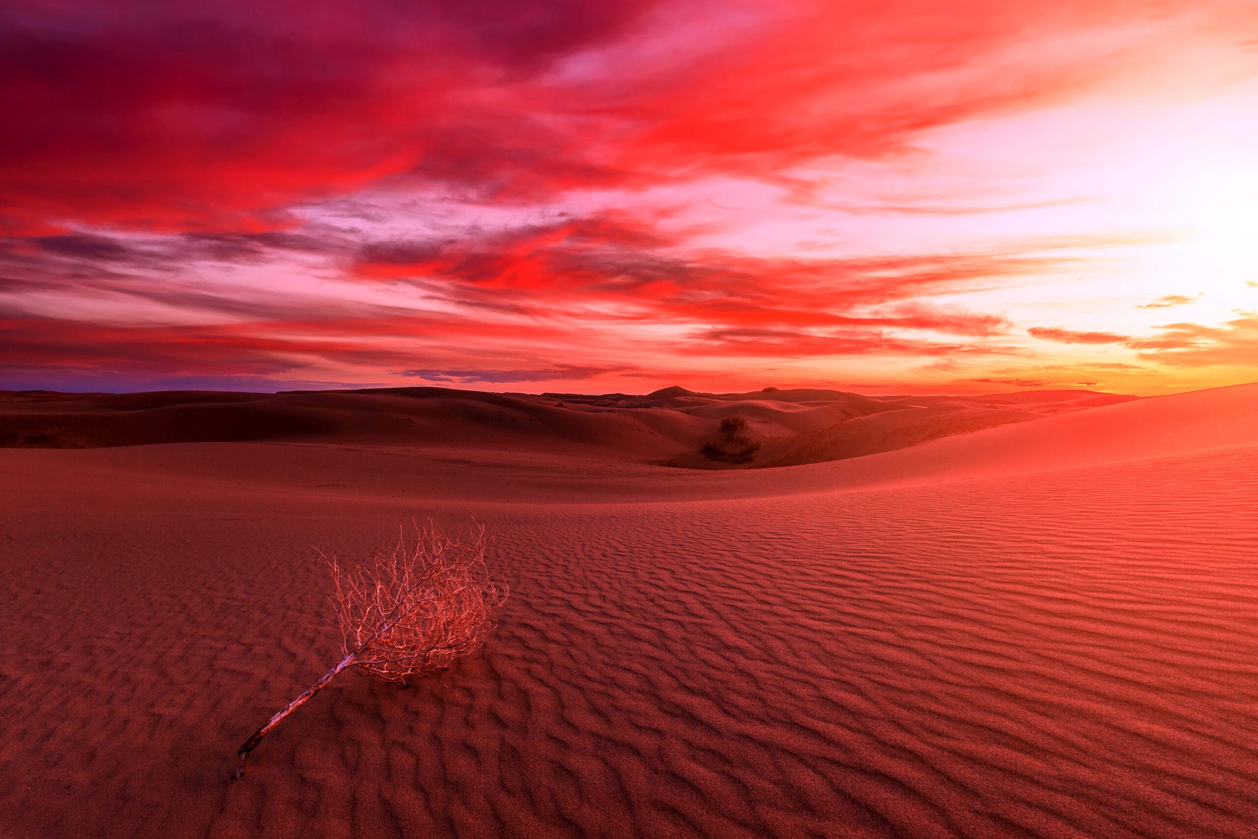 paysage immersif